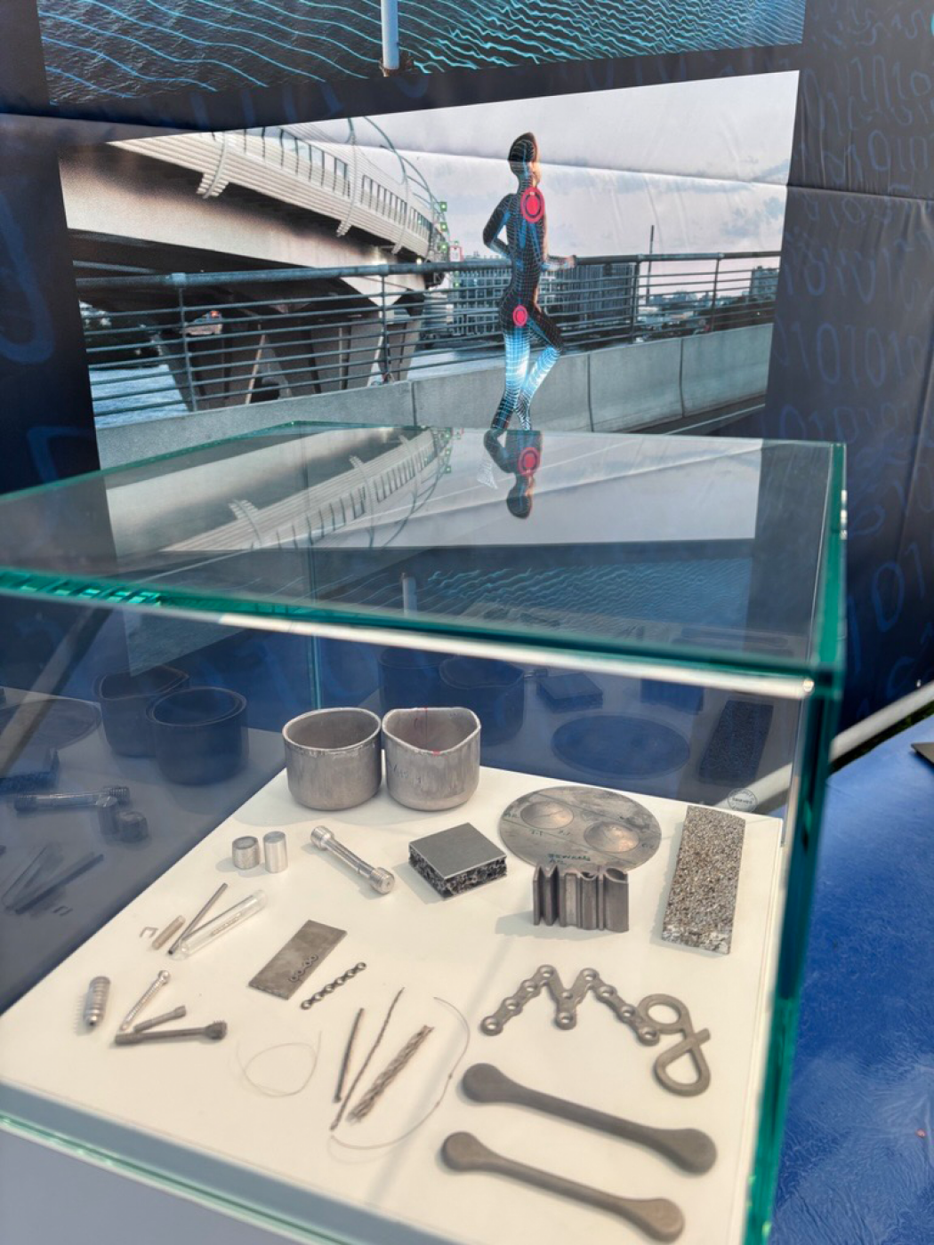 This display case contains medical bone implants and stents made of magnesium. Photo: Hereon/Torsten Fischer