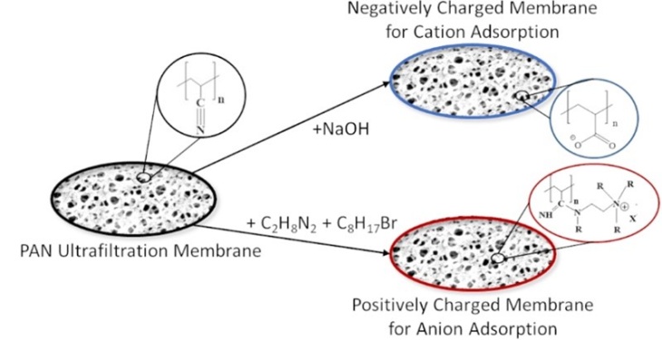 Chemical modification of membranes with different surface charges. (Image from: https://doi.org/10.3390/membranes12060580) Chem. Modif. v. Membranen mit versch. Oberflächenladungen.jpg