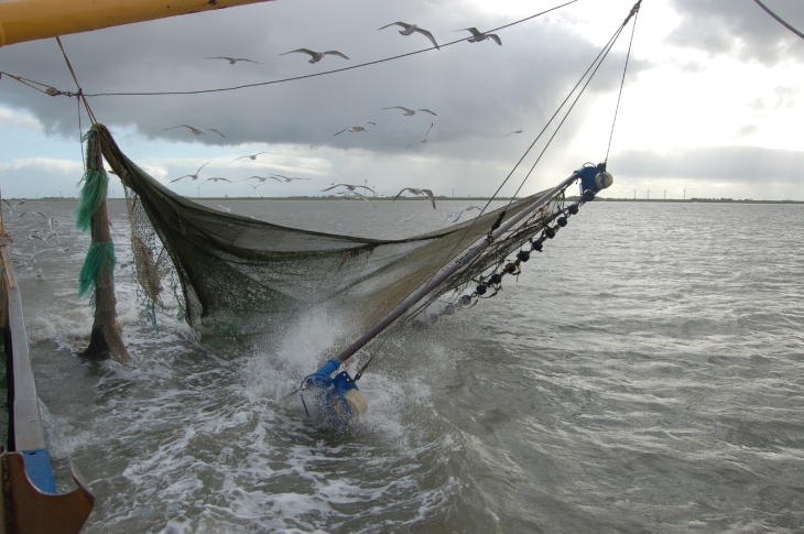 A shrimp fishing vessel operating in the North Sea. Photo: Sina Loeschke Shrimp fishing vessel