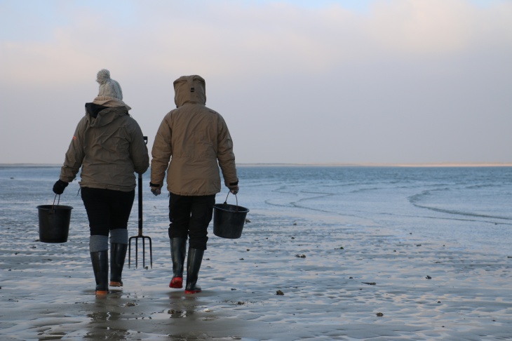 Forschende auf dem Weg durchs Watt vor List, Sylt. Foto: Melanie Steur-Fiener Forschende auf dem Weg durchs Watt vor List, Sylt.