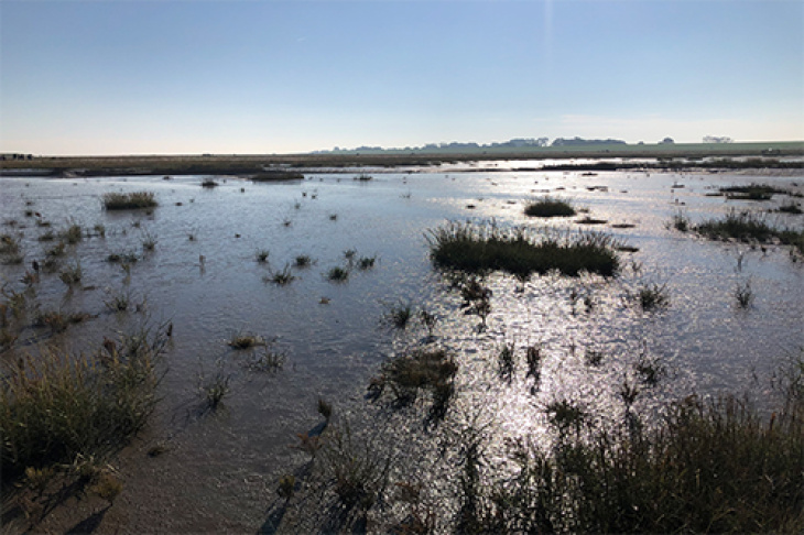 German coasts are also considered. Photo: Hereon/ Joanna Staneva Photo German Coast