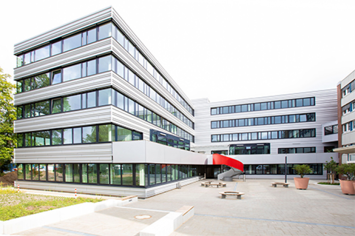 Building of the CXNS