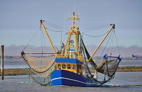 Ein Krabbenkutter in der Nordsee vor Ostfriesland. Foto: iStock