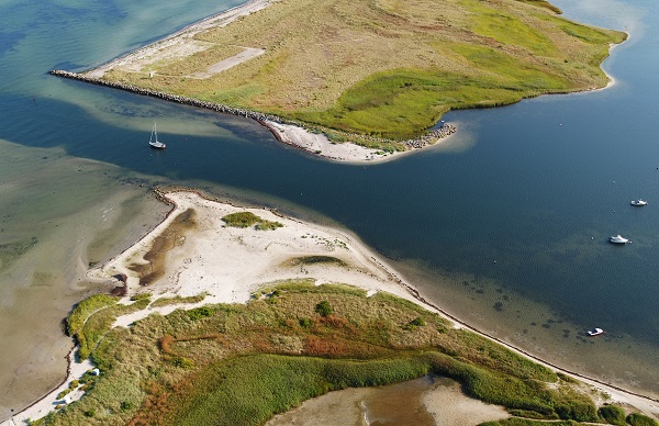 20230721-naturschutzgebiet-bottsand-ostsee Setcard