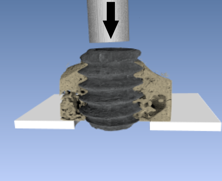 Push out Test einer Mg-Schraube in Knochengewebe